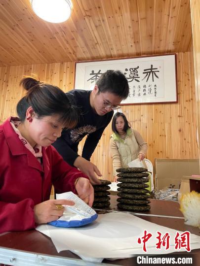 資料圖：杜贏(左二)在整理白茶餅?！×执阂?攝