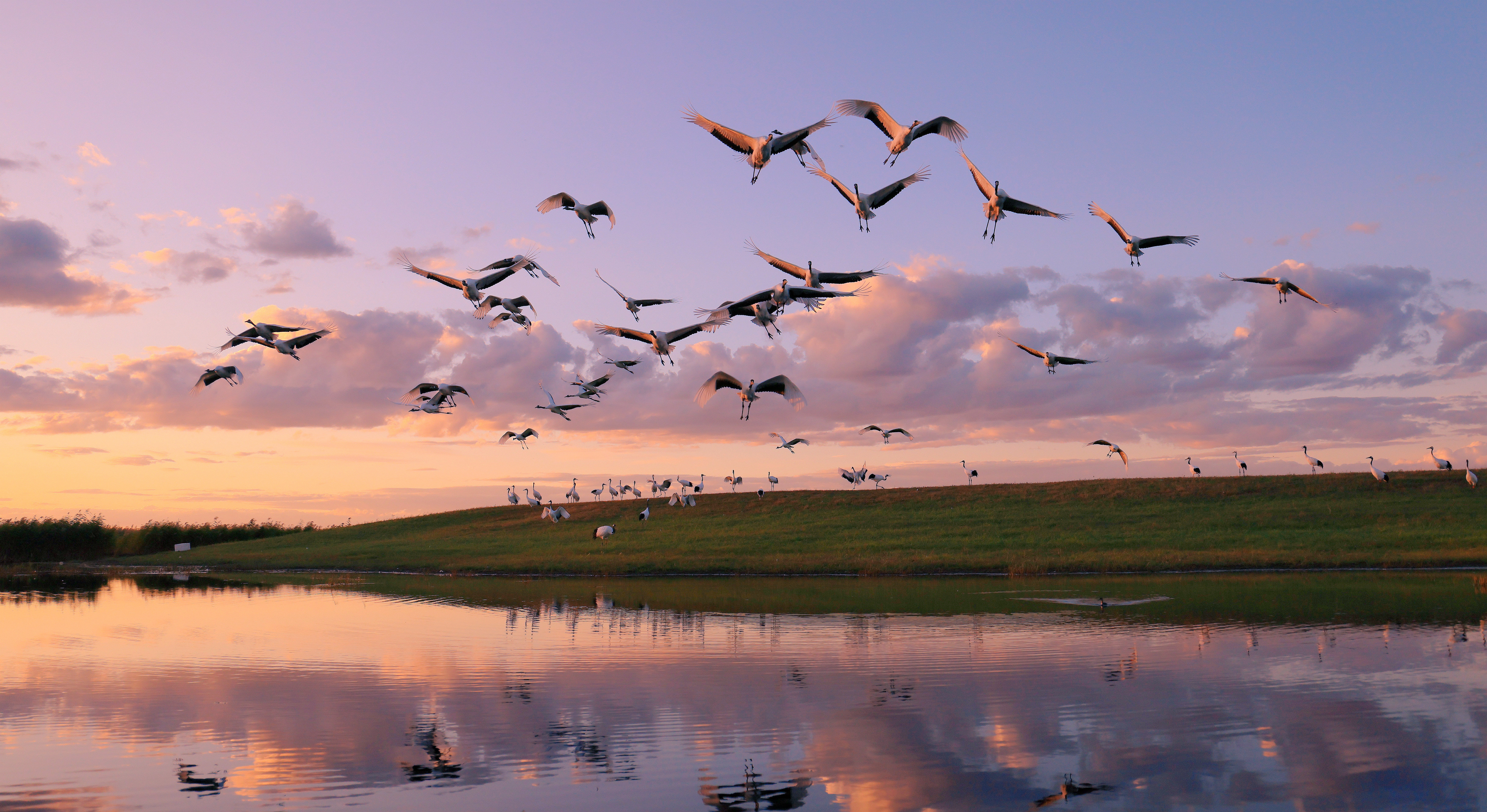 e724b0b09c5f8f1c5d7bfcece66b675.jpg e724b0b09c5f8f1c5d7bfcece66b675.jpg